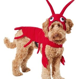 Lobster dog customer LARGE